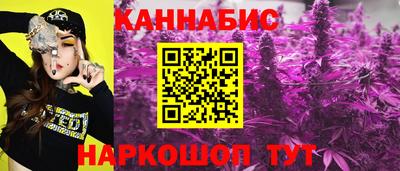 эйфоретик Аргун