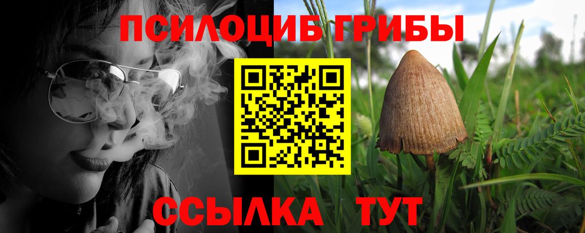 Галлюциногенные грибы мицелий Ачхой-Мартан